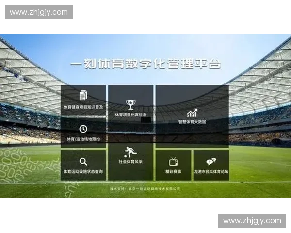 体育按摩实用指南助力运动恢复与体能提升方法详解专业技巧大全